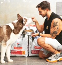 Hills Hills prescription grain CD KD ID HD WD urinary allergy kidney heart articular skin obesity