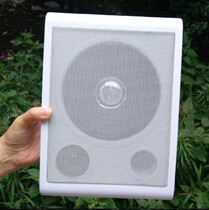 Wired 6 Inches Constant Pressure Speaker Classroom Supermarket Beauty Parlour Background Music Skew Speaker Campus Broadcast Horn