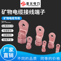 Mineral insulated fireproof cable special wiring nose BTTZ rigid copper wire lug terminal 2 5-400m