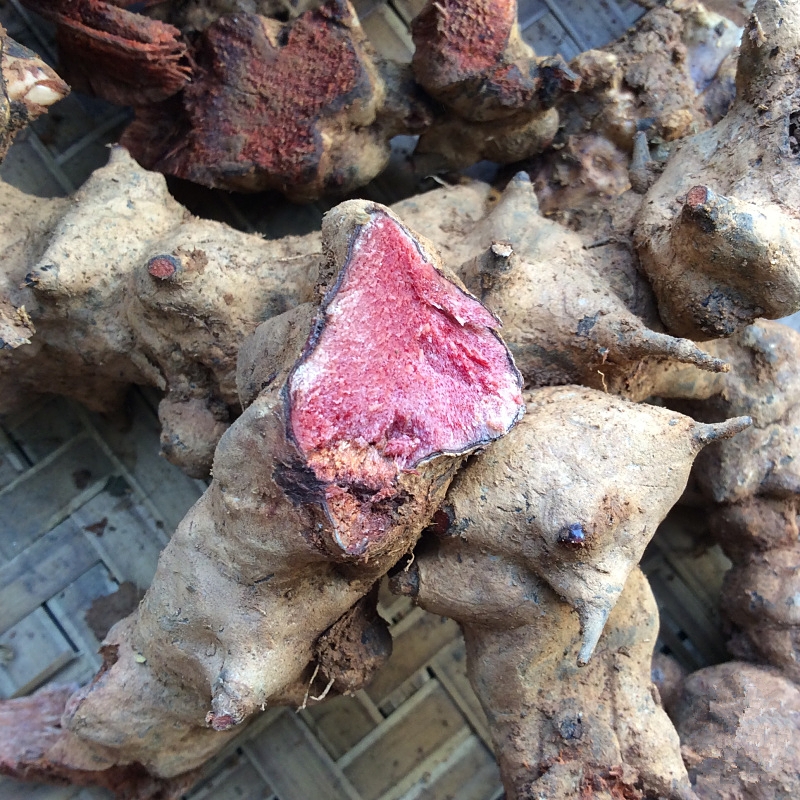 新鲜野生菝葜根 金刚藤根 铁刺苓 铁菱角 铁刺苓 现采 500g 发货