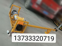 Double motor hoist hoist 220V hanging doors and windows hanging glass high-rise lifting artifact 1 ton crane construction crane