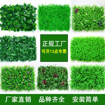 Simulation Plant Wall Plastic Fake Lawn background wall Door head Indoor shop Flower Wall Decoration Green Plant Nordic Ins Wind