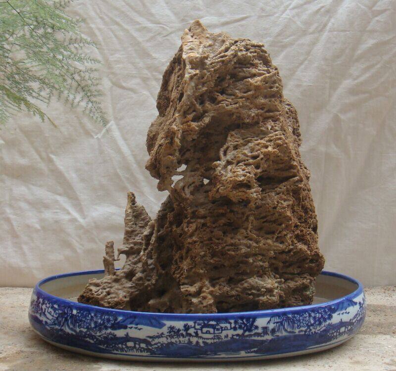 精品芦管石/吸水石/上水石/假山石/麦管石/天然加湿器/风水摆件