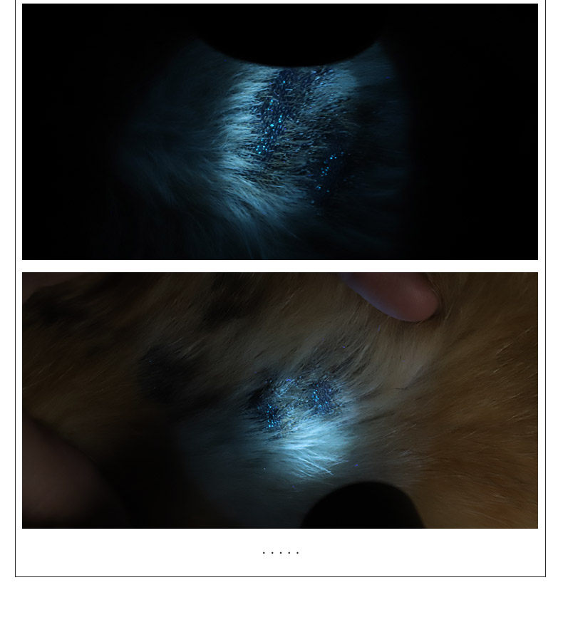 猫咪猫藓灯真菌探照灯猫藓笔伍德氏灯紫外线用品逗猫棒猫玩具