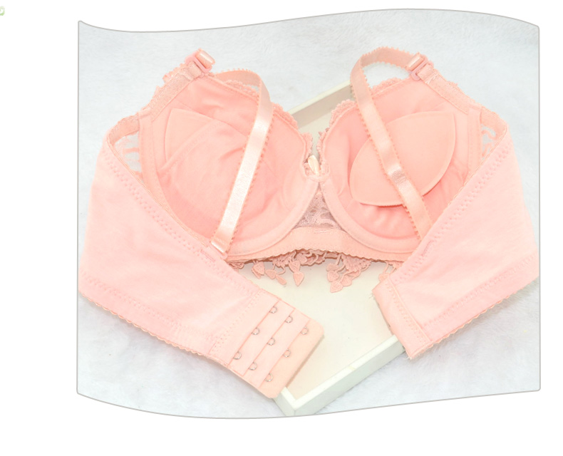 Underwear set Covenant of the Phoenix Covenant of the Phoenix Covenant of the Phoenix