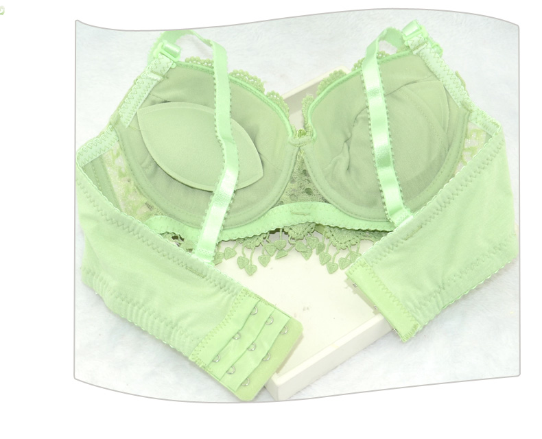 Underwear set Covenant of the Phoenix Covenant of the Phoenix Covenant of the Phoenix