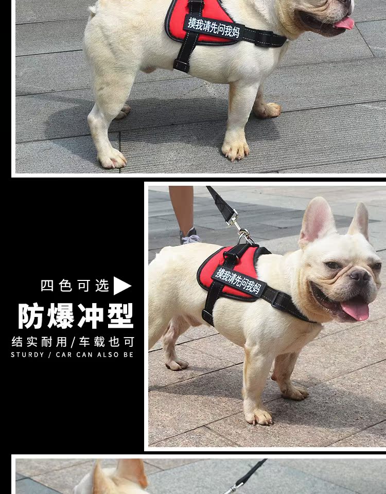 宠物用品狗胸背防爆冲胸背带个性贴标胸背字帖牵引绳4