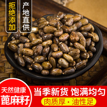New Castor castor bean seeds 500g red hemp Chinese herbal castor bean castor bean seed