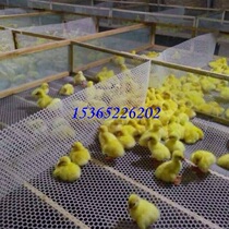 Special price pure plastic flat net breeding net breeding protection net chicken duck breeding fish breeding net large and small holes