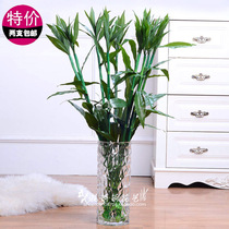 Simulation of big leaf rich bamboo bamboo flower silk flower living room decoration flower imitation green flower garden countryside