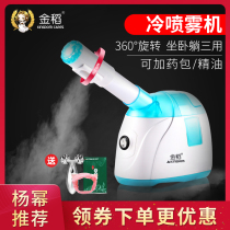 Jindao face steamer beauty instrument Hot and cold double spray cold spray machine allergy anti-household nano spray hydration instrument Detox small