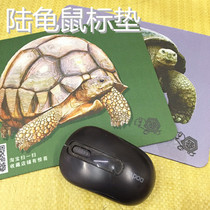 Climbing pet tortoise personality DIY Angoyada anti-slip pad tortoise mouse pad creative shoe buckle