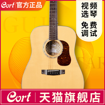 Cort Gold-D6 OM6 Full Board 41 40 Folk Guitar