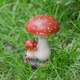 Garden gardening sketches landscape decorations creative home lawn flower pot resin crafts simulation mushroom ornaments Garden gardening sketches landscape decorations creative home lawn flower pot resin crafts simulation mushroom ornaments
