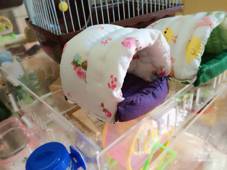 diy仓鼠笼展示_设计图分享