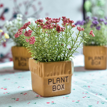 Creative small potted simulation bonsai mini dried flower plant decoration fake flower shop indoor green plant decoration ornaments