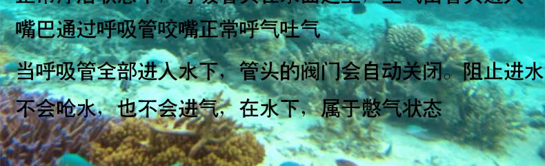 Набор для дайвинга маска+трубка Lelang M29 Lelang Набор для дайвинга маска+трубка Lelang M29 Lelang