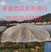 Greenhouse insect-proof bird net new watermelon shed head net