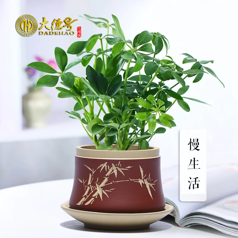 Flower pot in the fine carving painting yixing purple sand pottery and porcelain meaty plant pot desk with indoor tray Flower pot