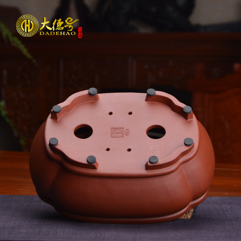 Haitang flowers purple sand flowerpot flower pot contracted fine ceramics, fleshy Chinese wind, green potted bonsai pot room