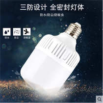 Led light bulb screw mouth ultra bright ball bubble energy-saving lamp home waterproof high-power living room lighting indoor commercial