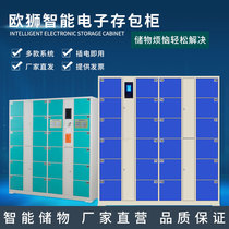 Lion Lion supermarket electronic storage cabinet Face recognition smart storage cabinet locker Mobile phone charging storage cabinet