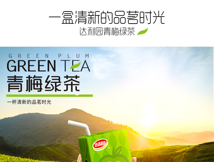 达利园青梅绿茶饮料250ml*24盒