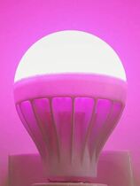 Pink LED Light Festival Energy Light Atmosphere Tonic Light Bulb E27 Spirolet Purple Powder Purple Light Pink Single Light Source Color