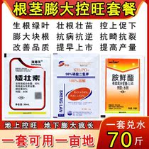 Root Tuber bulking element ginger garlic peanut sweet potato potato yam underground fruit swelling agent disease resistance to increase production