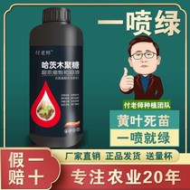 A spray of green amino acid foliar fertilizer trace elements high potassium fertilizer rooting powder fast root water soluble fertilizer