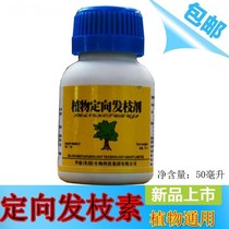 Fleshy progerin directional hair Cherry grape Pear Tree meat division plant cytokinin