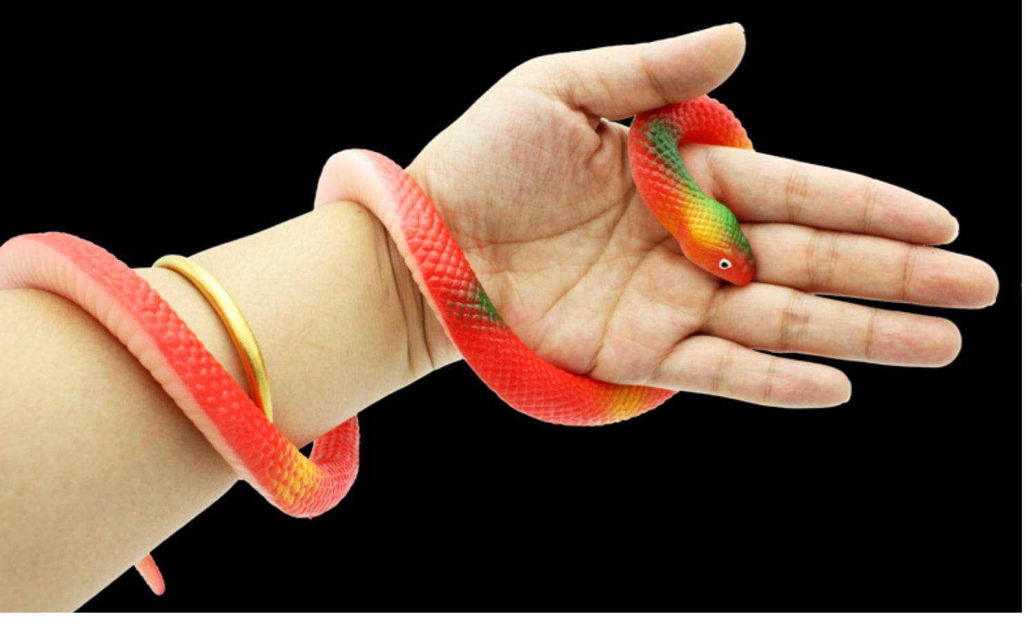 愚人节整人整蛊玩具恐怖玩具仿真小动物假蛇老鼠蜥蜴蝙蝠蜘蛛骨架