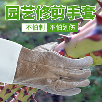 Flower rose garden pruning protective stab gloves cowhide wear protective gloves gardening stab gloves