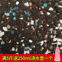 Seven-in-one Multi-meat soil formula nutrient soil seedling planting fertilizer imported peat soil a catty