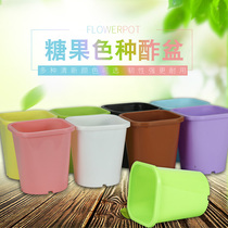 Full of 38 kinds of pans false pots large pots roses salsa bulbs bulbous flowers