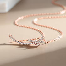 2021 New Tide novel diamond necklace female S925 sterling silver light luxury minority design exquisite choker female