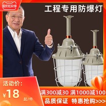 LED explosion-proof lamp flameproof factory workshop lighting chandelier warehouse factory gas station industrial and mining lampshade lamps