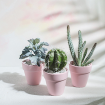 indoor ins style small simulation green plant ornament succulent cactus fake potted plants living room decor Nordic fake flower plants