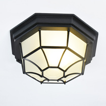 Outdoor waterproof LED lamps outdoor moisture-proof rust balcony Courtyard Hallway Aisle Chinese entrance door suction top light