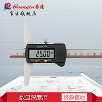 Guanglu electronic digital depth gauge 0-150-200-300mm electronic digital cursor bathymeter