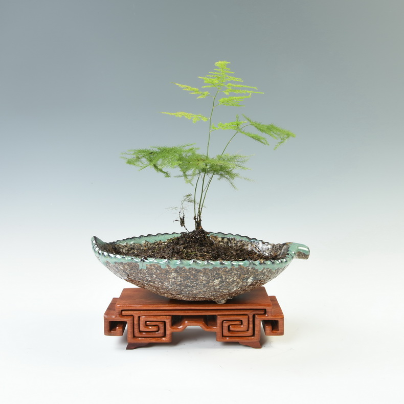 Solid wood carved wooden base scroll censer are it stone base rectangle base jade penjing base figure of Buddha