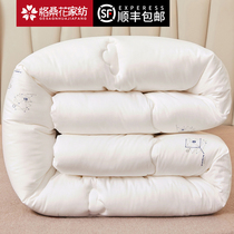 Air conditioning summer cool quilt four seasons universal summer quilt Winter quilt quilt core 10 pounds of silk cotton spring and autumn quilt thin single