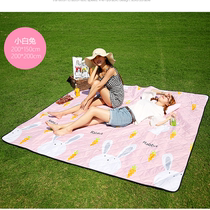 Picnic mat Moisture proof mat thickened outdoor outing portable picnic cloth Lawn waterproof mat Picnic mat ins wind