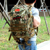 Camouflage mountaineering bag outdoor travel bag waterproof tactical bag backpack male 45L large capacity 3D attack bag