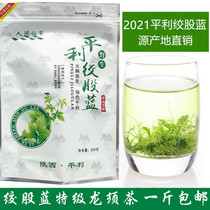 2021 Pingli gynogynogym tea New tea Five yea dragon shall be bagged in wild gynostemma