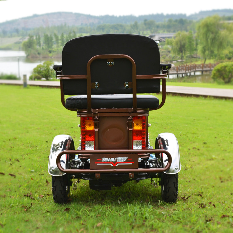 信步巴士bs-306a高档休闲老年电动代步车电瓶车城市休闲车双人车