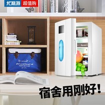 Germany 10L mini small refrigerator Dormitory small household car dual-use mini mask cosmetics refrigeration 4L