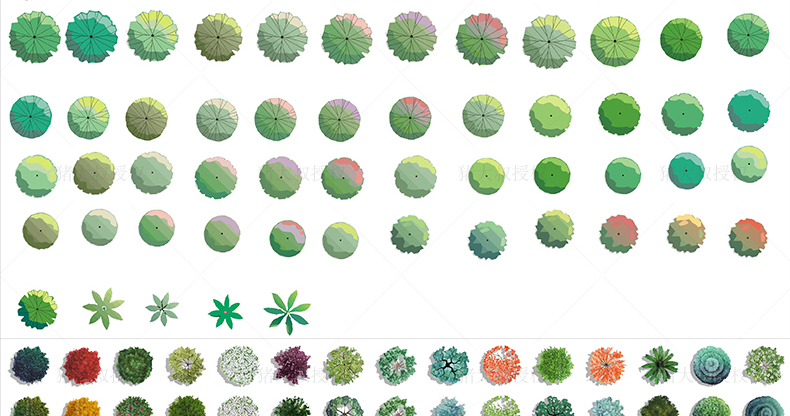 园林景观彩平图psd素材植物手绘辅装ps后期立面平面图设计效果图