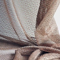 Curtain curtain coffee transparent living room bedroom bedroom modern simple semi-shading mesh yarn romantic and warm custom