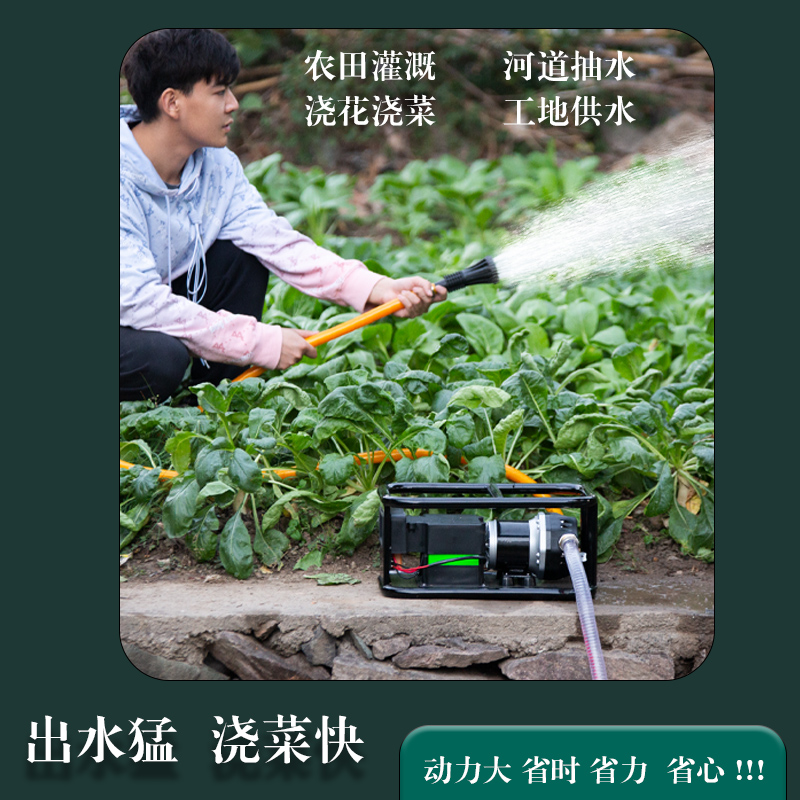 Rechargeable large-flow pumped pump pumps water pumps farmland outdoor irrigation watering machines Watering Machines High Power Casting-Taobao